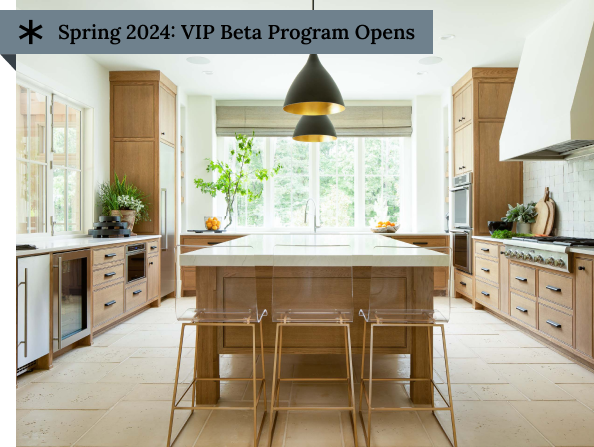 spring 2024 VIP Beta program opens